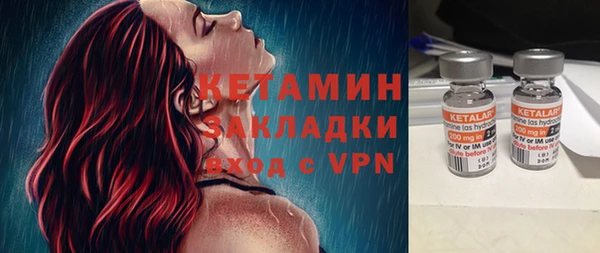 твердый Гусев