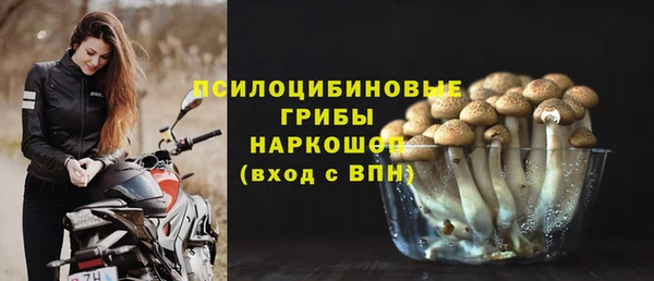 дживик Горнозаводск