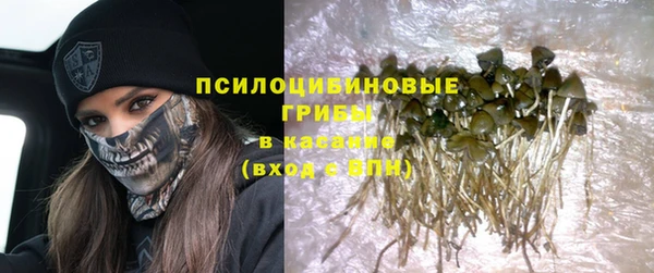 мескалин Мегион