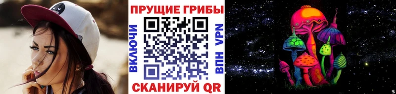 Галлюциногенные грибы Psilocybine cubensis  наркошоп  Дальнереченск 