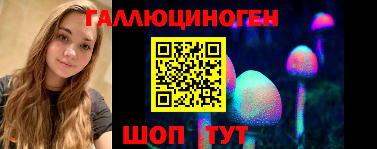 Псилоцибиновые грибы мицелий Дальнереченск