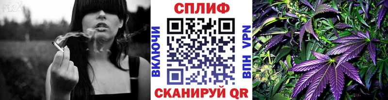 даркнет клад  Дальнереченск  Бошки Шишки Ganja  кракен зеркало 