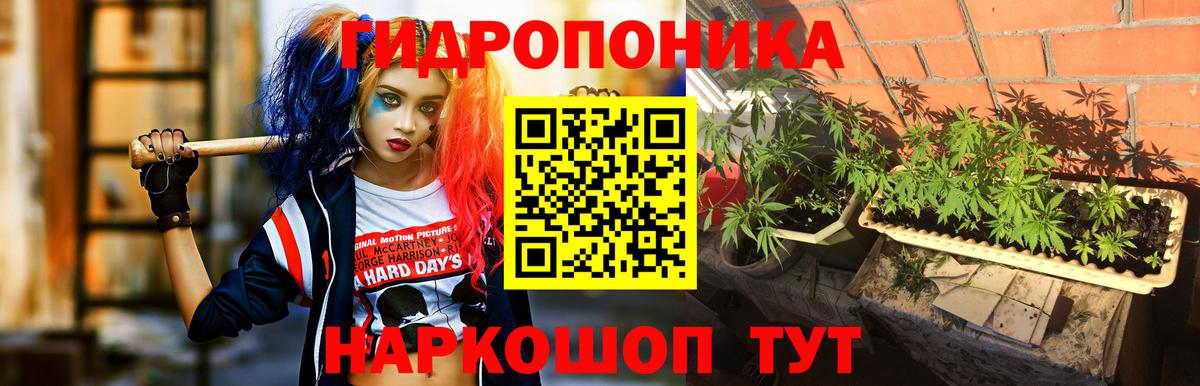 Бошки марихуана OG Kush Дальнереченск